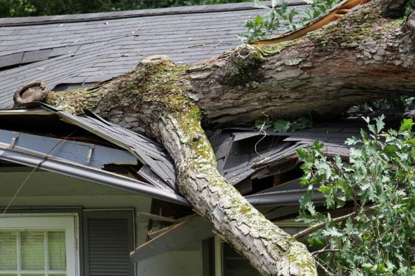 Emergency Roof Repair Emergency Roof Repair